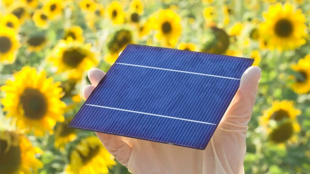 Solar Energy: Harnessing the Power of the Sun for a Sustainable Future